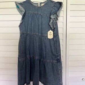 Denim Dress with ruffle sleeves